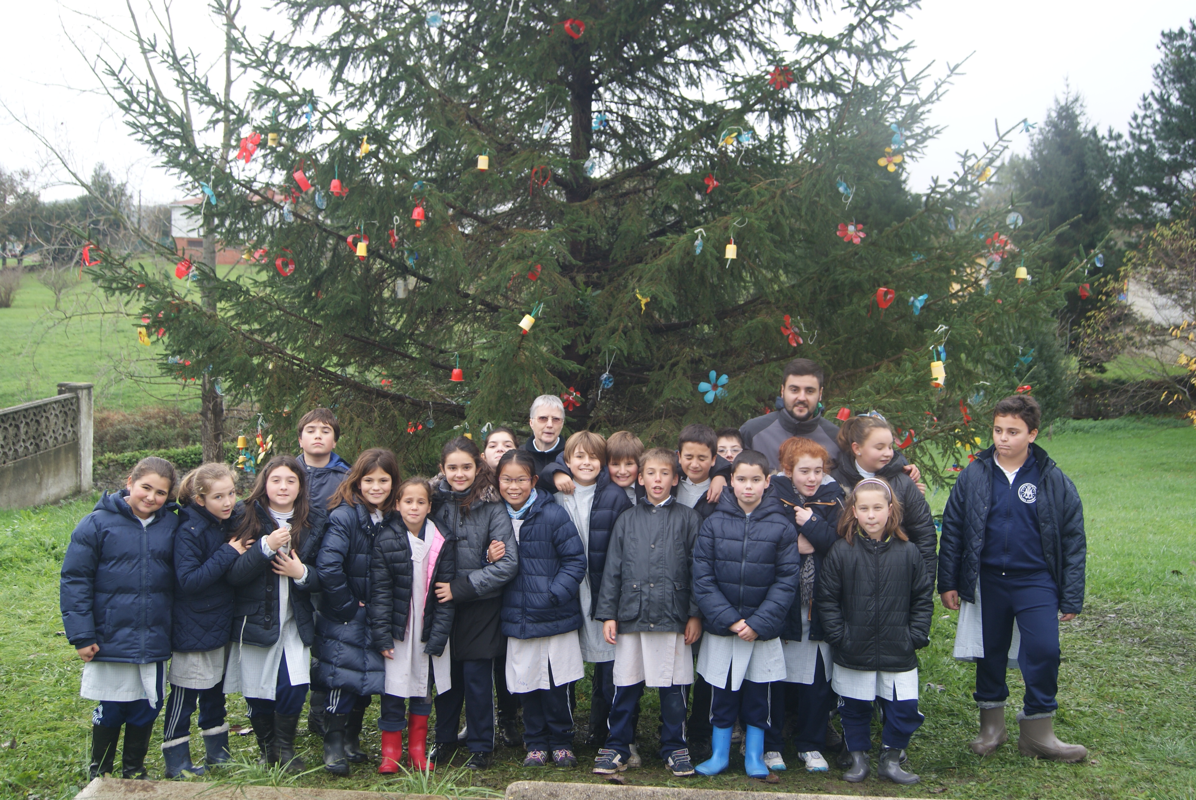 Los alumnos de 5º de primaria adornan el árbol del colegio
