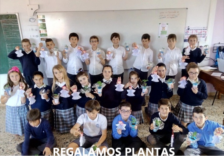 LOS ALUMNOS DE 6º PRIMARIA SIEMBRAN SEMILLAS Y EMBELLECEN EL AMBIENTE DE POLANCO