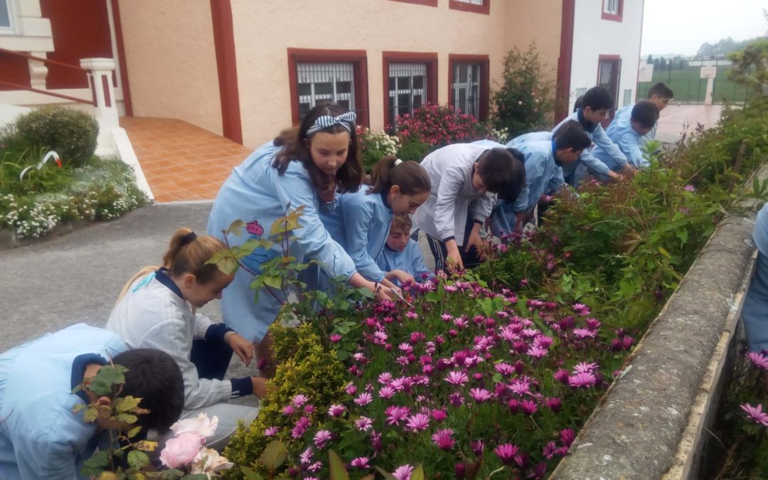 VI día internacional de fascinación por las plantas