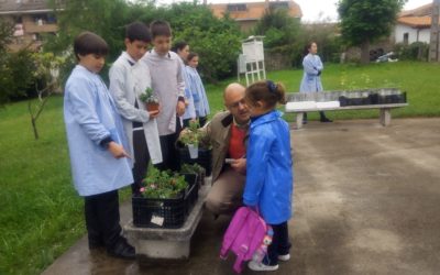 Proyectos 6ºEP