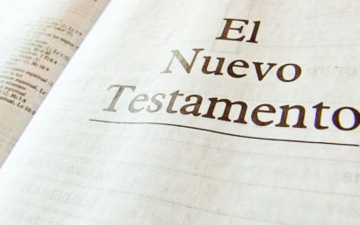 Nuevo Testamento, por los alumnos de 6º de primaria.